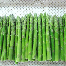 2021 New Crop Frozen Asparagus Whole Spears, Green, White Asparagus